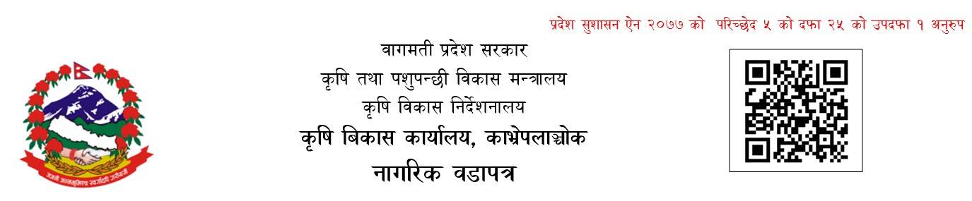 citizen charter